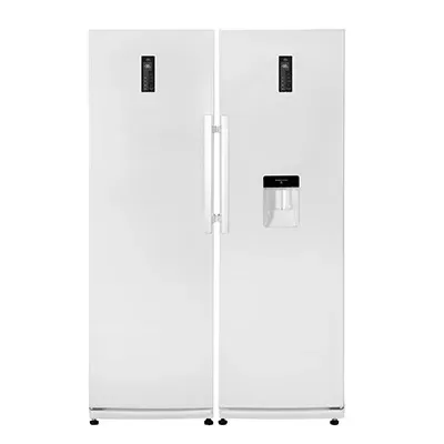 یخچال فریزر دو قلو انترو ET/HERMES/F651/R651 iw 